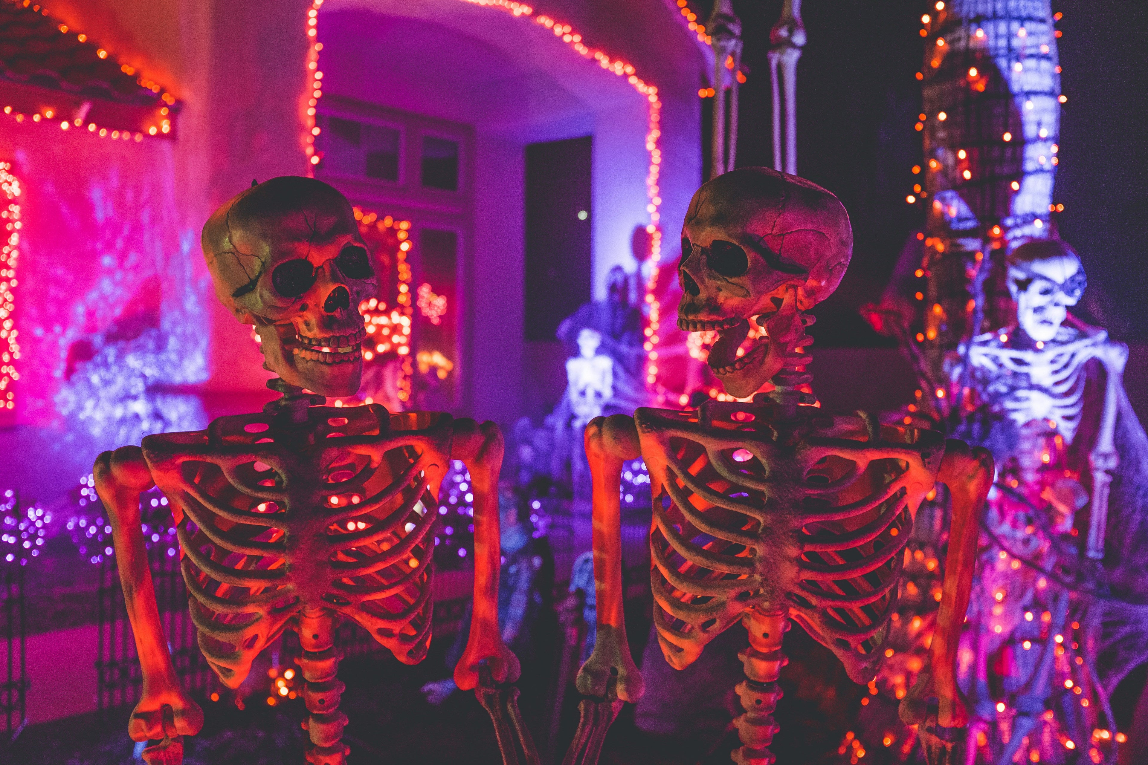Ghouls Just Wanna Have Fun
